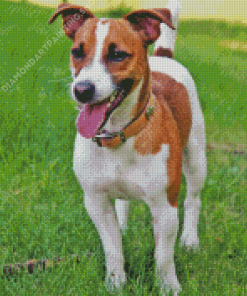 Jack Russell Puppy Diamond Painting