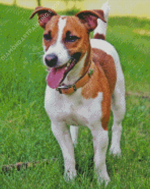 Jack Russell Puppy Diamond Painting