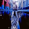 Kitten In Reflection Diamond Painting