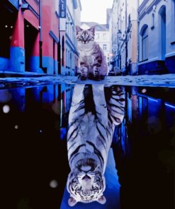 Kitten In Reflection Diamond Painting