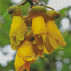 Kowhai Plant Diamond Painting