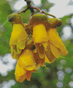 Kowhai Plant Diamond Painting