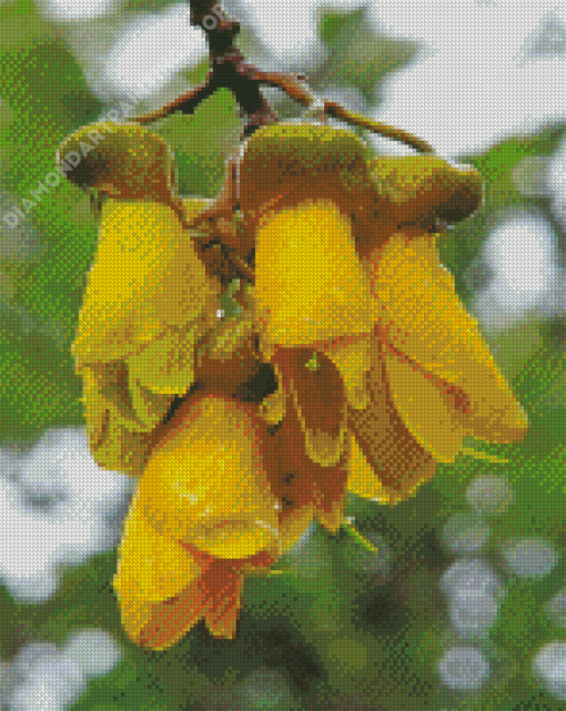 Kowhai Plant Diamond Painting