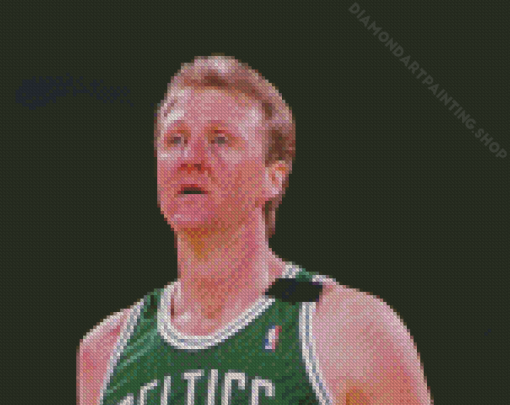 The American Basketballer Larry Bird For Diamond Painting