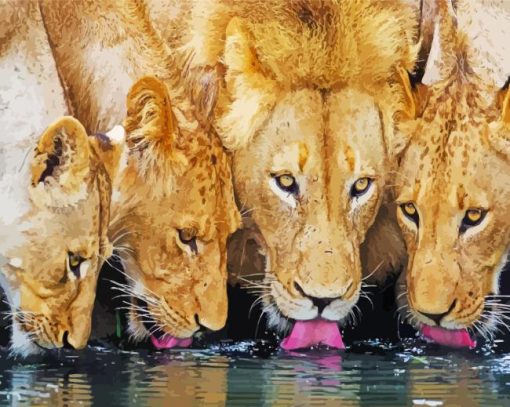 Lions Drinking Water Diamond Painting