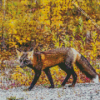 Melanistic Fox Diamond Painting