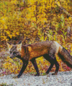 Melanistic Fox Diamond Painting