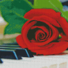 Piano Keys With Rose Diamond Painting