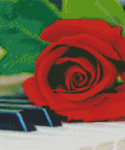 Piano Keys With Rose Diamond Painting