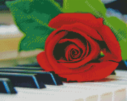 Piano Keys With Rose Diamond Painting