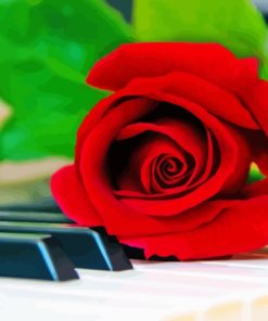 Piano Keys With Rose Diamond Painting