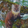 Pine Marten Diamond Painting