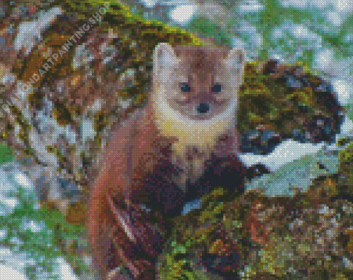 Pine Marten Diamond Painting