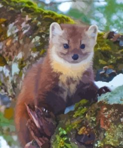 Pine Marten Diamond Painting