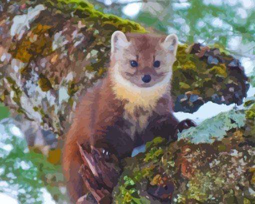 Pine Marten Diamond Painting