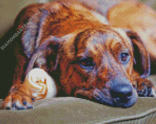 Plott Hound On Sofa Diamond Painting