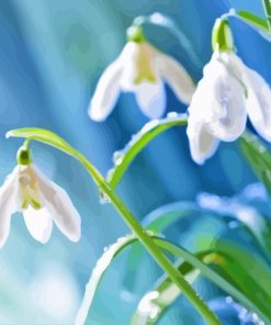 Raindrops On Snowdrops Flowers Diamond Painting