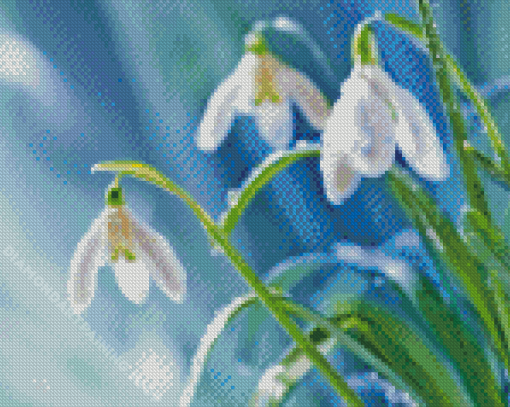 Raindrops On Snowdrops Flowers Diamond Painting