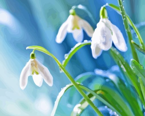 Raindrops On Snowdrops Flowers Diamond Painting