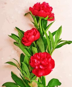 Red Peonies Flowers Diamond Painting