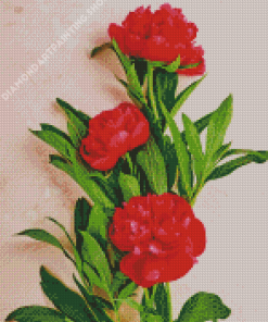 Red Peonies Flowers Diamond Painting