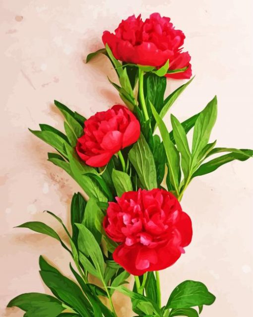 Red Peonies Flowers Diamond Painting