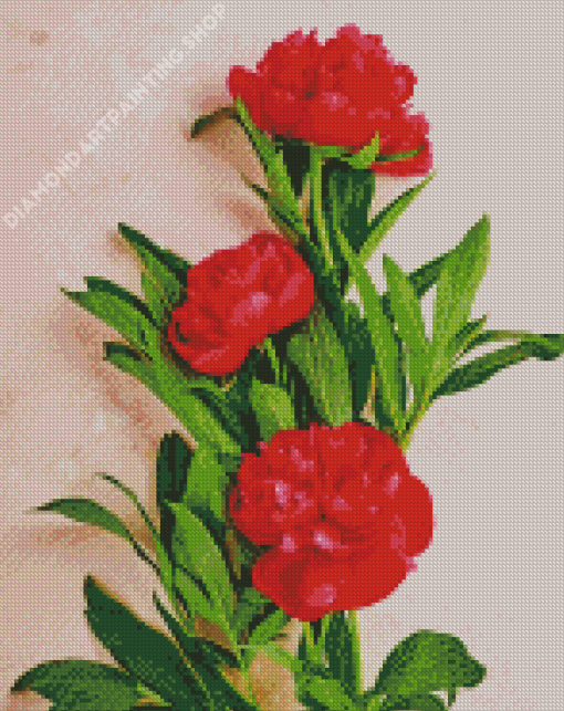 Red Peonies Flowers Diamond Painting