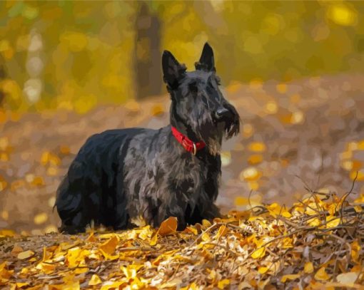 Scottish Terrier Animal Diamond Painting