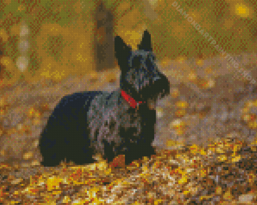 Scottish Terrier Animal Diamond Painting