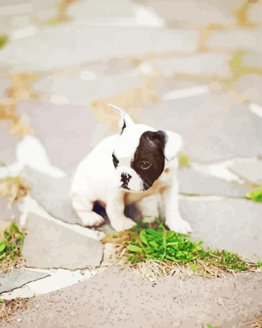 Small Black And White French Bulldog Puppy Diamond Painting