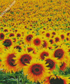 Small Sunflower Landscape Diamond Painting