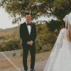 Taylor Lautner In His Wedding Diamond Painting