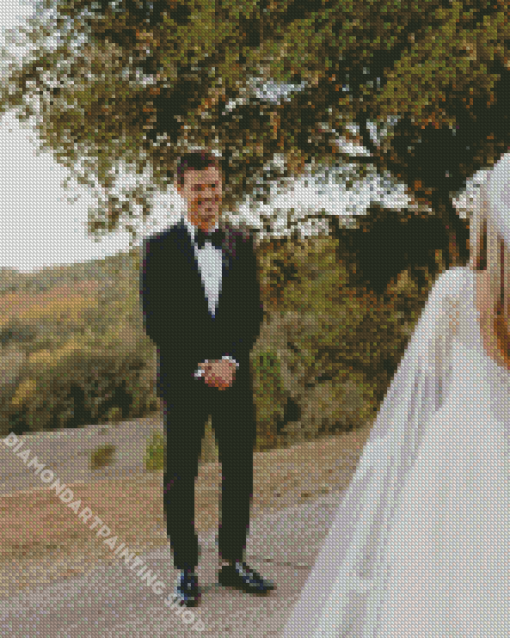 Taylor Lautner In His Wedding Diamond Painting