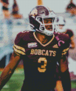 Texas State Bobcats Team Player Diamond Painting