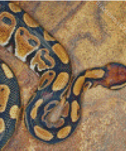 The Ball Python Snake Diamond Painting