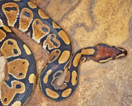 The Ball Python Snake Diamond Painting