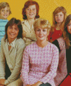 The Partridge Family Diamond Painting