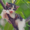 Tree Kitten Diamond Painting