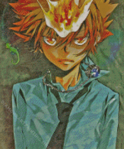 Tsunayoshi Sawada Diamond Painting