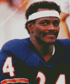 Walter Payton Diamond Painting