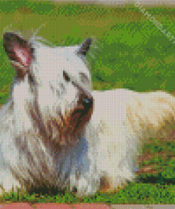 White Skye Terrier Pet Dog Diamond Painting