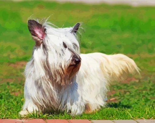 White Skye Terrier Pet Dog Diamond Painting