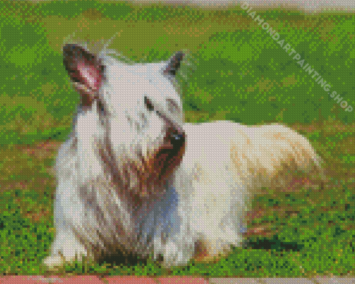 White Skye Terrier Pet Dog Diamond Painting