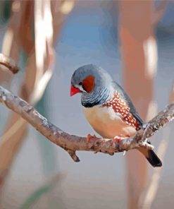 Zebra Finch Diamond Painting