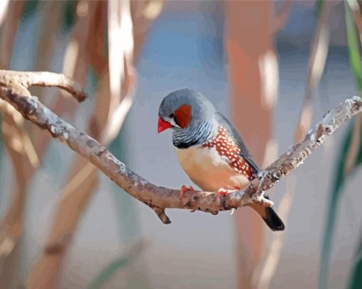 Zebra Finch Diamond Painting