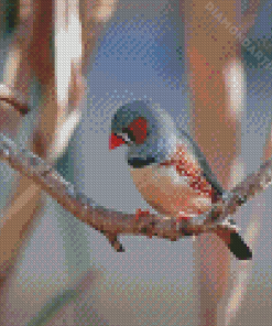 Zebra Finch Diamond Painting