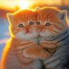 Adorable Tabby Cats In Snow At Sunrise For Diamond painting