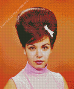 Annette Funicello Diamond Painting