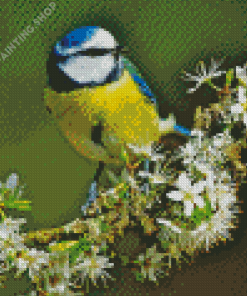 Blue Tit Bird Diamond Painting