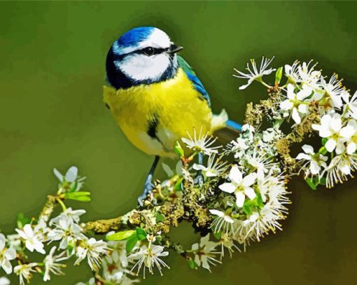 Blue Tit Bird Diamond Painting